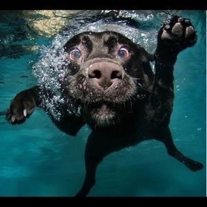 Meet your Posher, Bethany